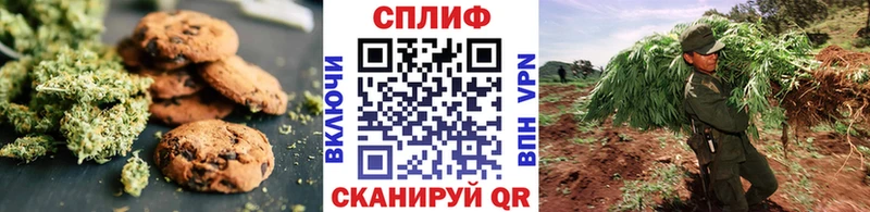 Купить  Пересвет  Cannafood конопля 