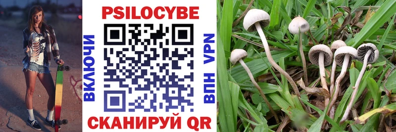 Купить где  Пересвет  Псилоцибиновые грибы прущие грибы 